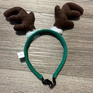 Reindeer Antlers